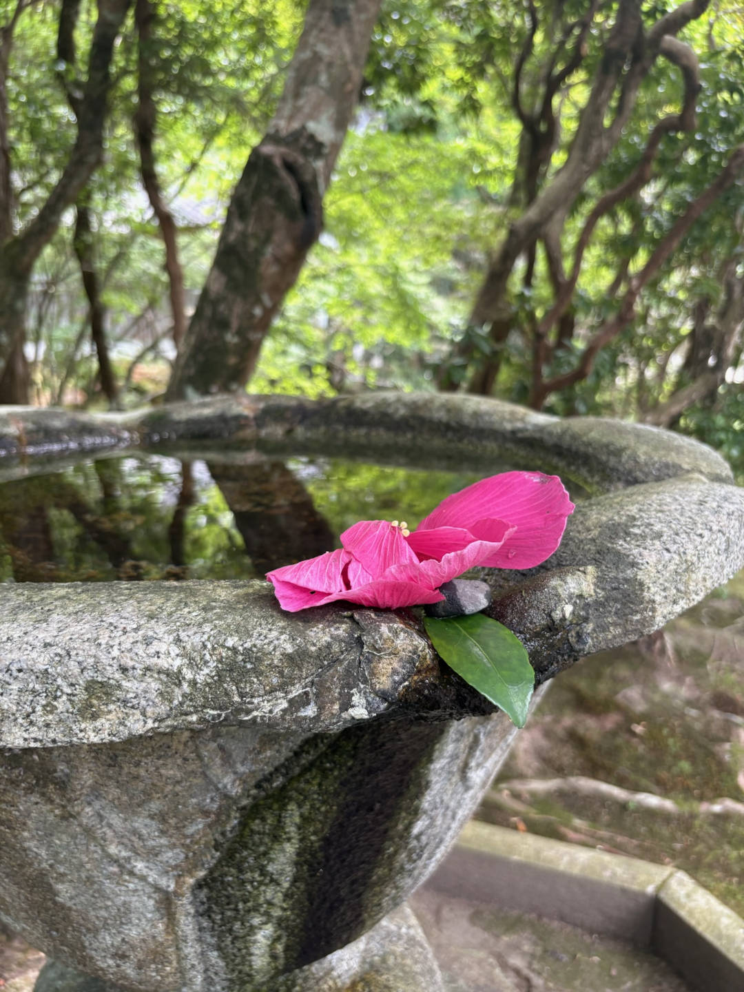 aSongforCon#929 Image by Fabian